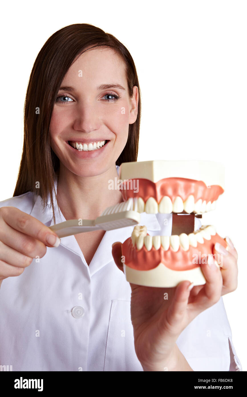 Smiling female dentist explains how to brush your teeth Stock Photo Alamy