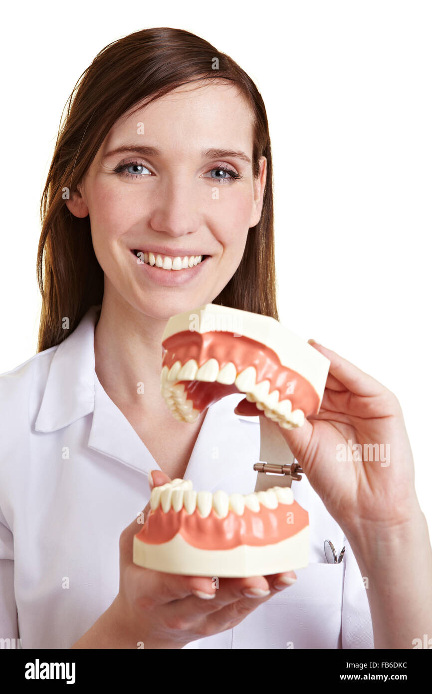 Happy female dentist with oversized model of human teeth Stock Photo