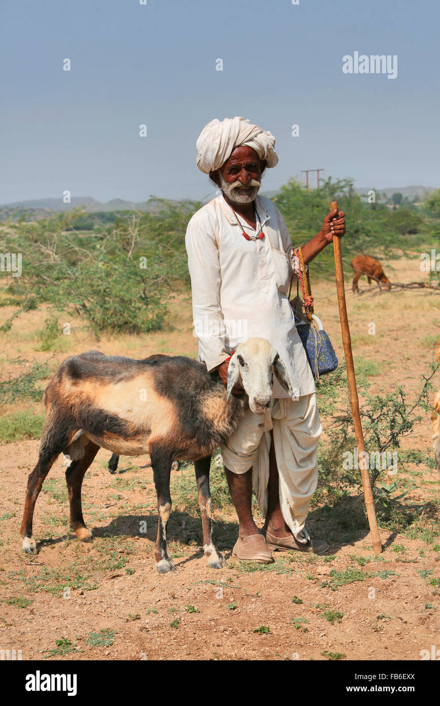 Dhebaria Rabari, Shepherd, way to Bhuj, Kutch, Gujarat, India Stock Photo