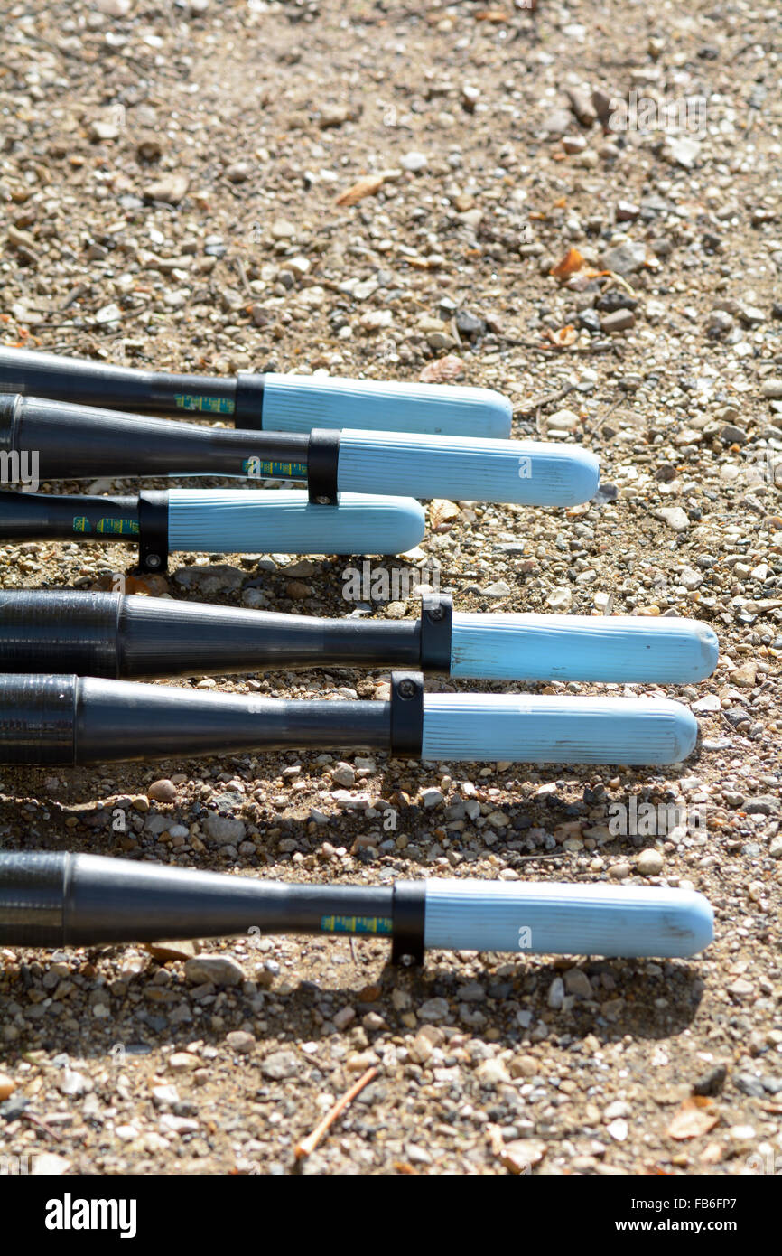 Rowing boat oar handles laid out on the bank of the River Ouse in