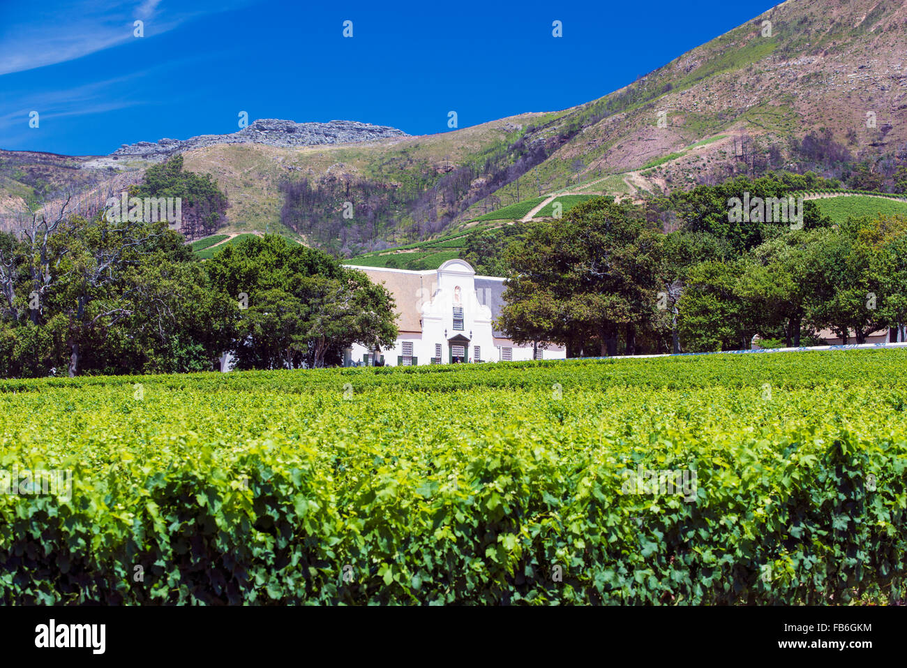 Groot constantia wine hires stock photography and images Alamy