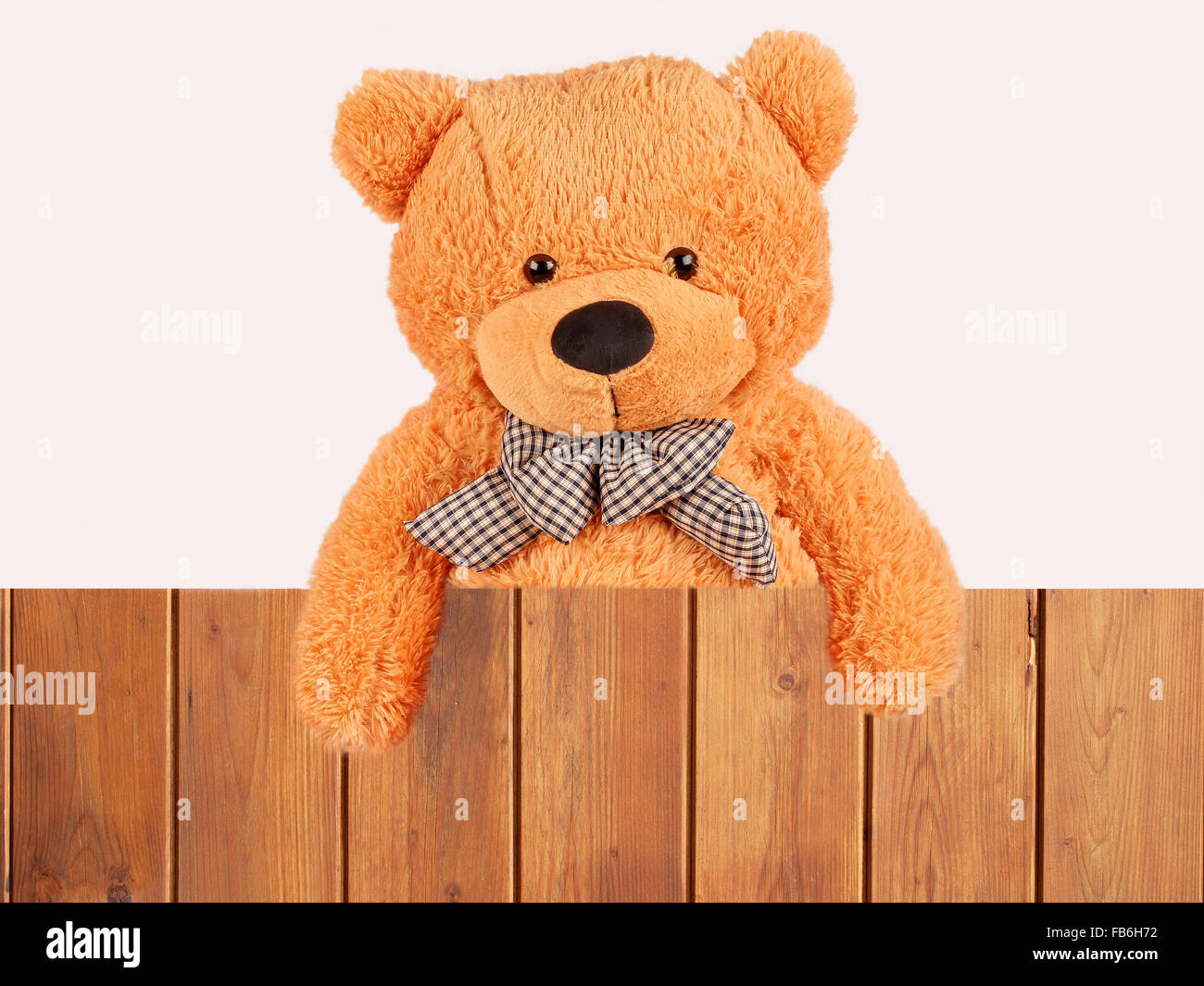 fluffy plush teddy bear over wooden fence, studio shot Stock Photo