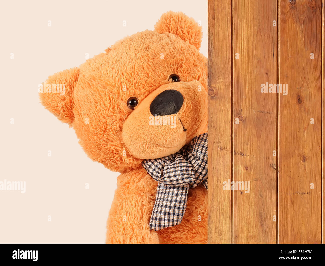 fluffy plush teddy bear over-side wooden board Stock Photo