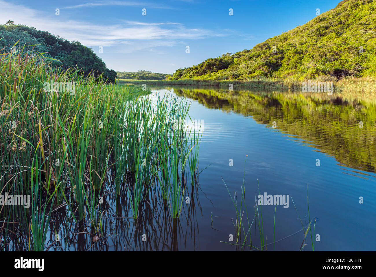The Mcantsi River, Kidds Beach in the Eastern Cape, South Africa Stock