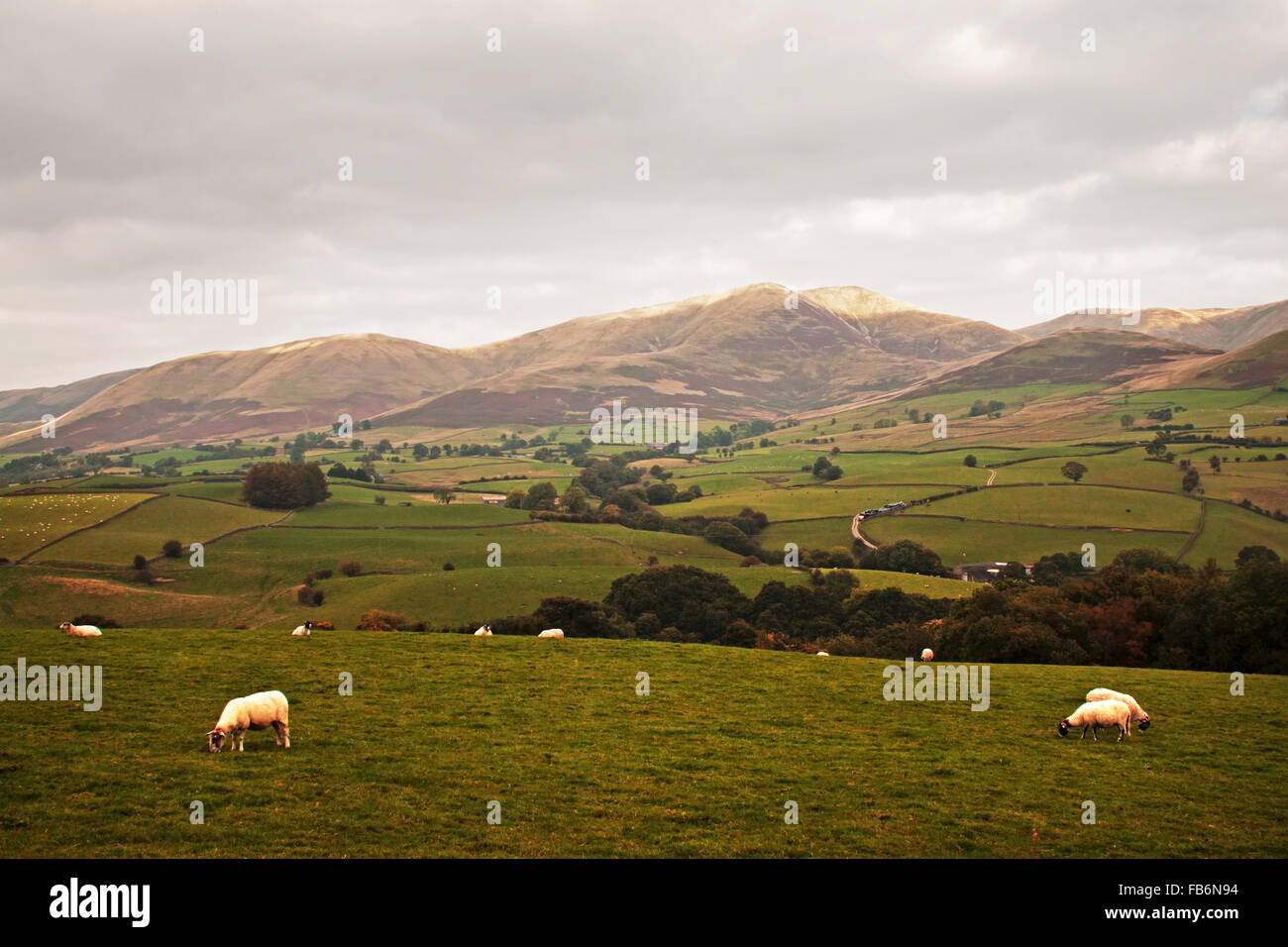 Distant Howgills (a scenic view of the Howgill Fells from the roadside) Stock Photo