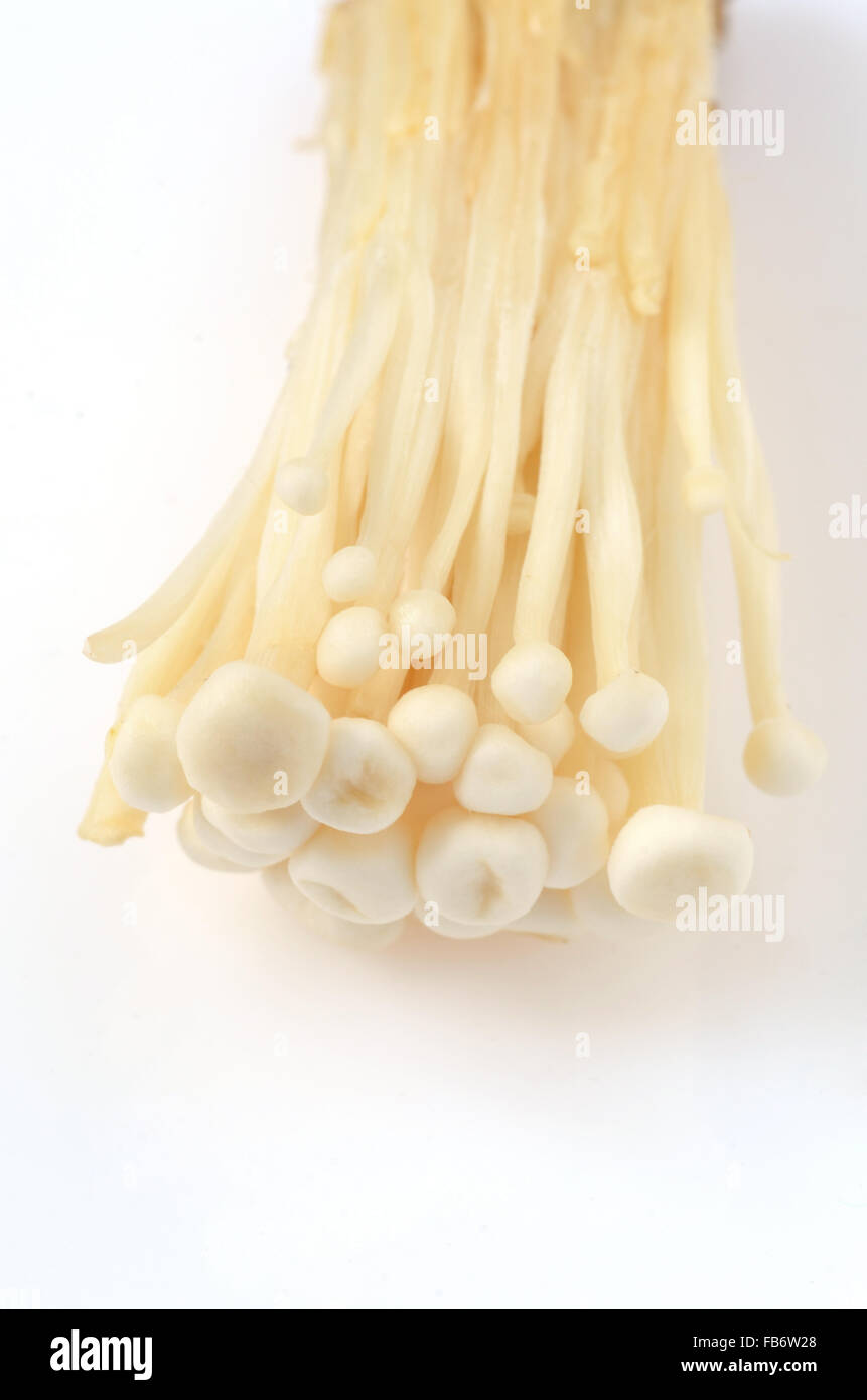 Fresh Shimeji mushrooms on a white background Stock Photo
