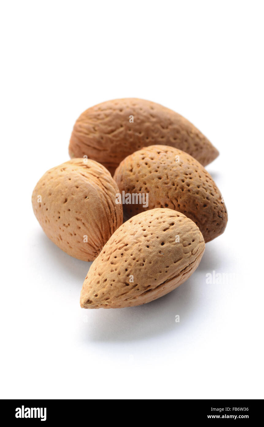 Raw almonds with shell - shot with a macro lens Stock Photo