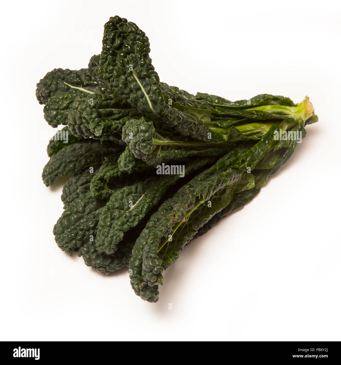 what is cavolo nero