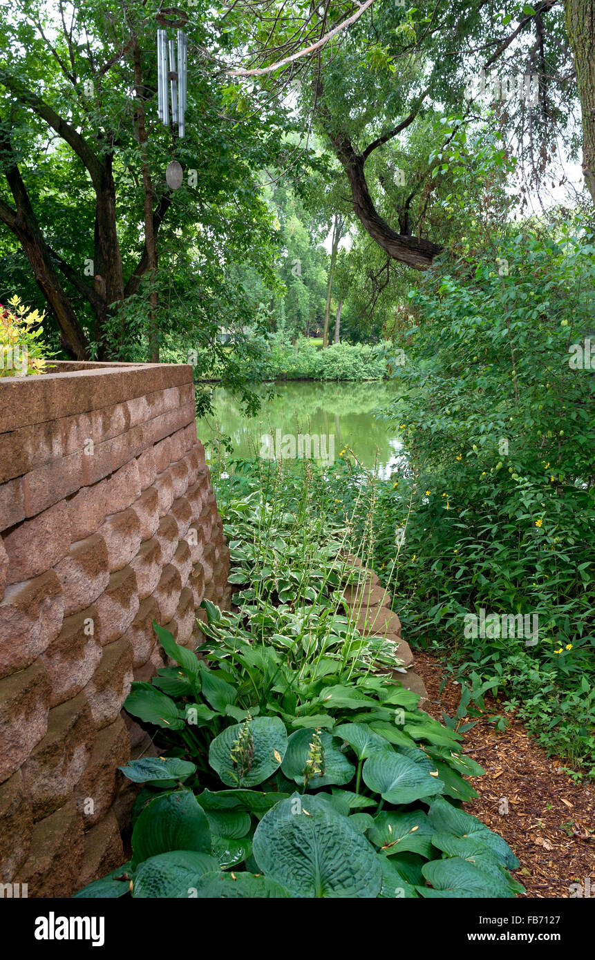 backyard landscaping with retaining wall and hosta plant varieties leading to pond and green vegetation Stock Photo