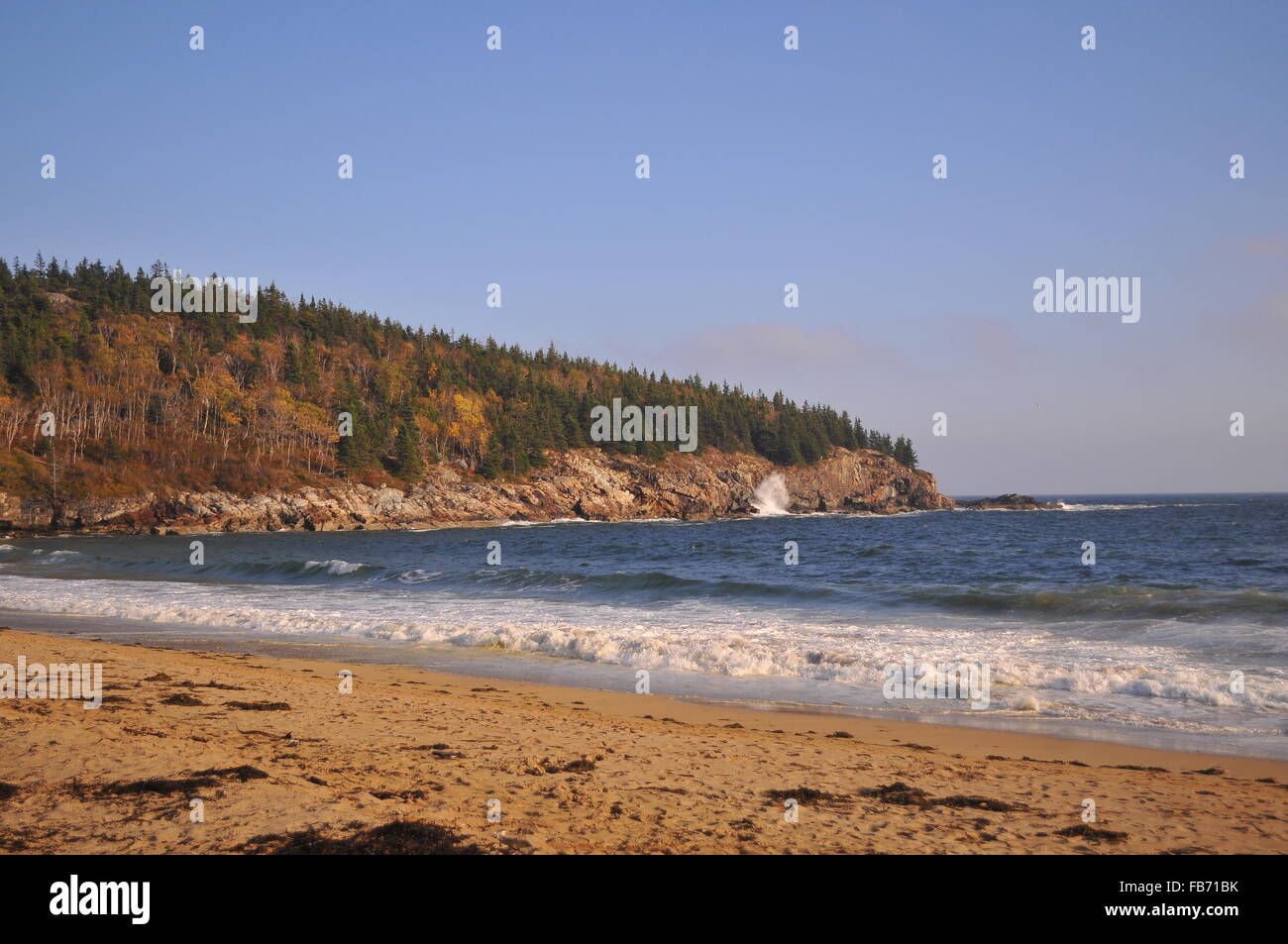 Sand Beach, Acadia National Park Stock Photo