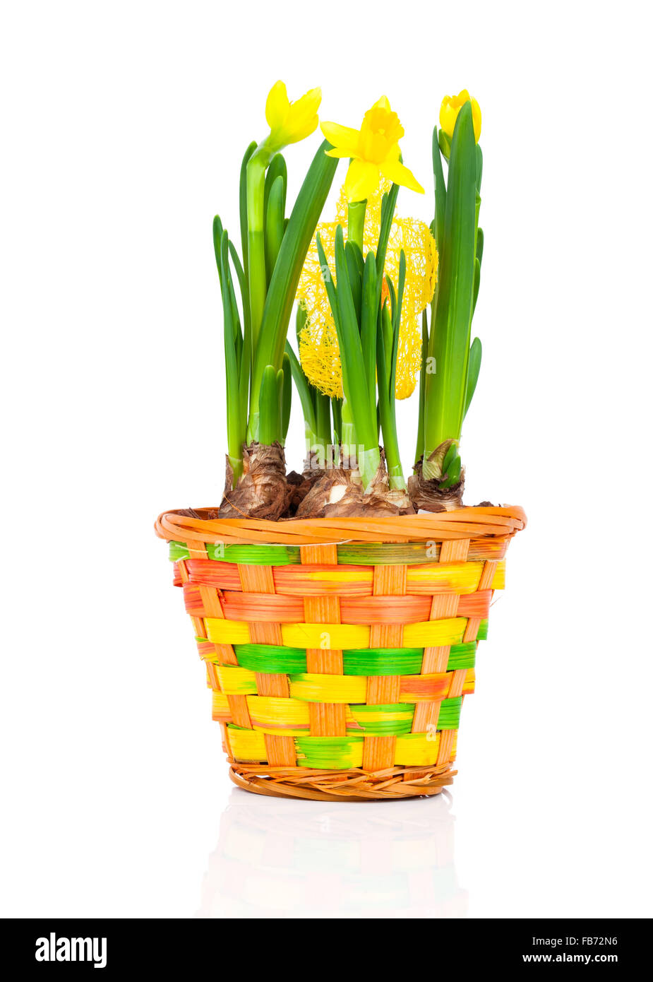 Spring pot flowers hires stock photography and images Alamy