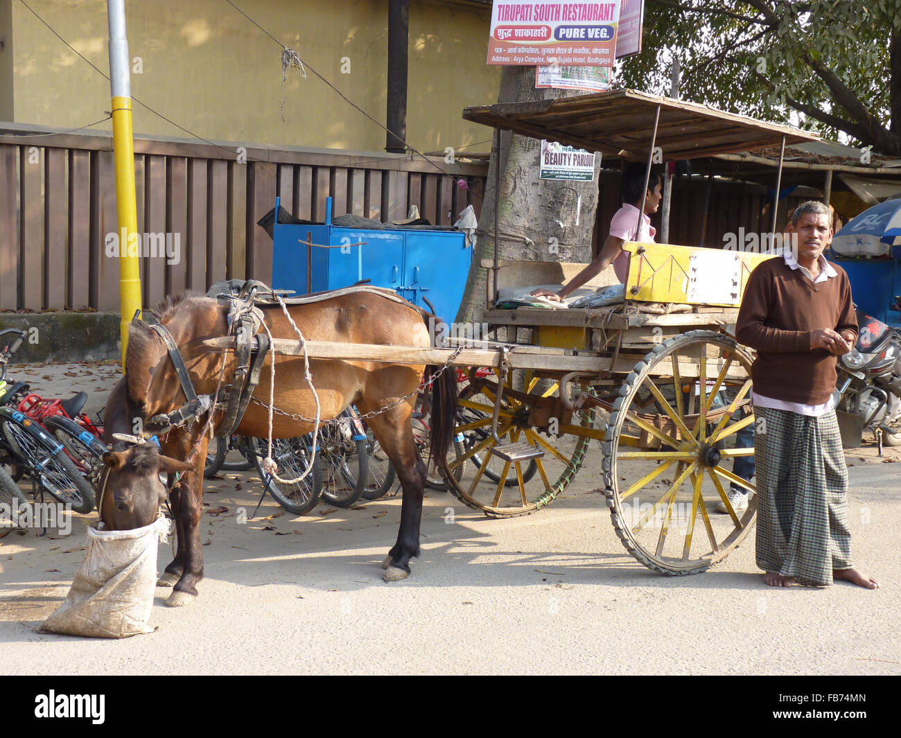 Tonga, The Horse Carriage Stock Photo - Alamy