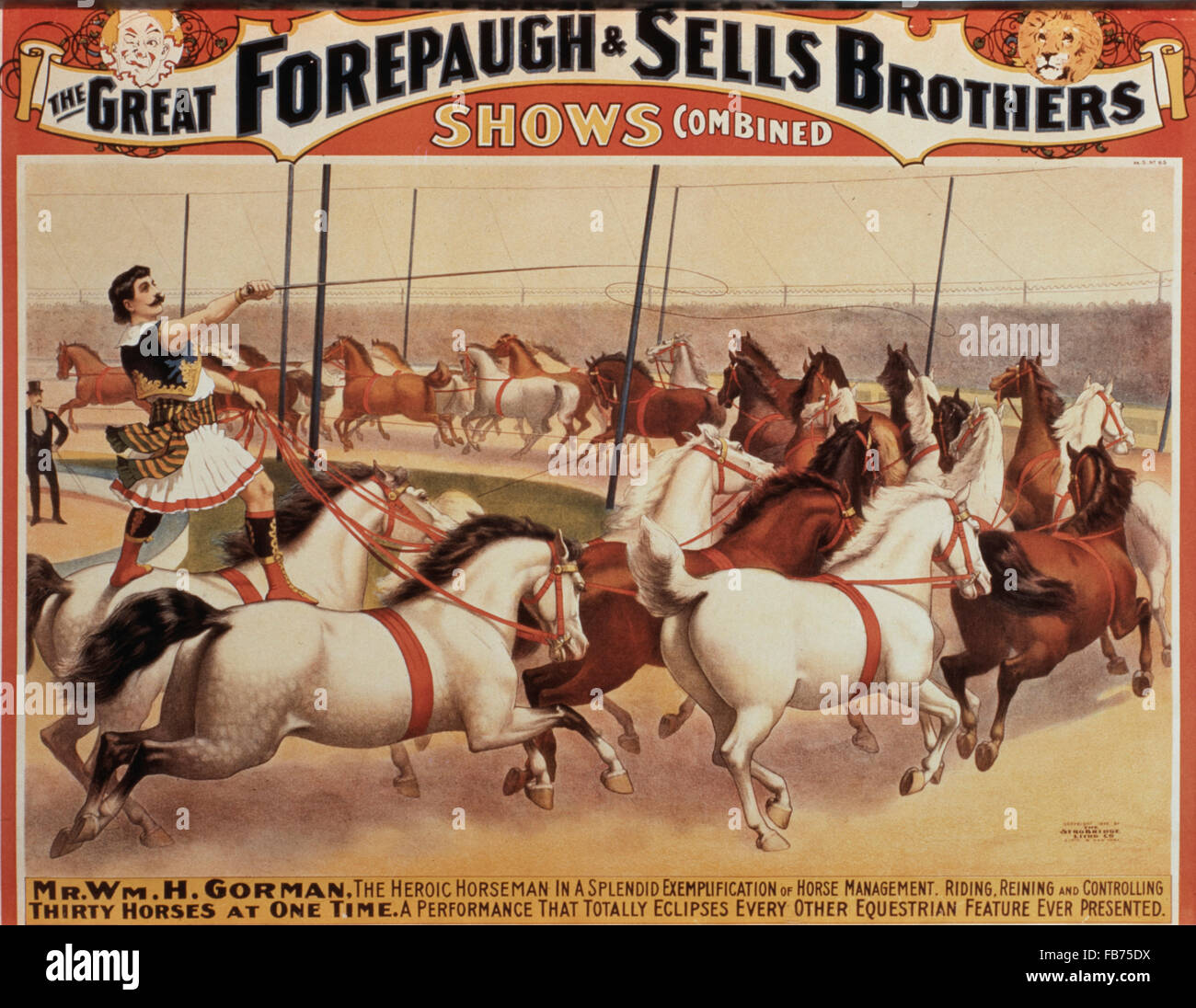 The Great Forepaugh and Sells Brothers Shows Combined, Mr. Wm. H. Gorman, the Heroic Horseman, Controlling Thirty Horses at One Time, Circus Poster, circa 1890's Stock Photo