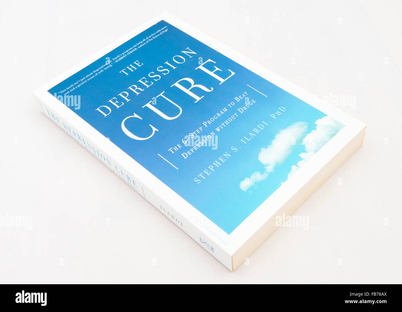 The Depression Cure: The 6 step program to beat depression without drugs by Stephen S. Ilardi. Stock Photo