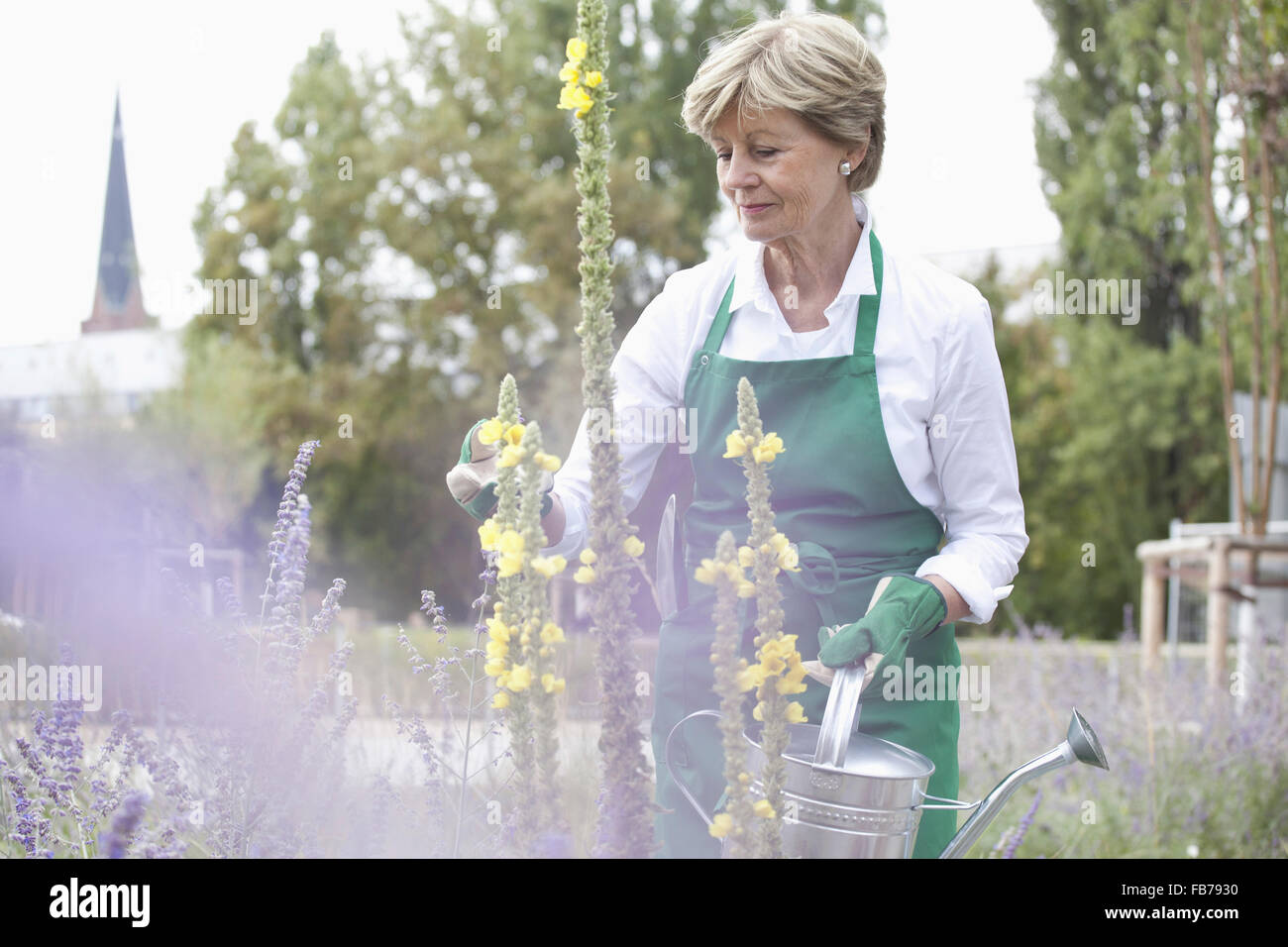Mature woman holding watering can in garden Stock Photo - Alamy
