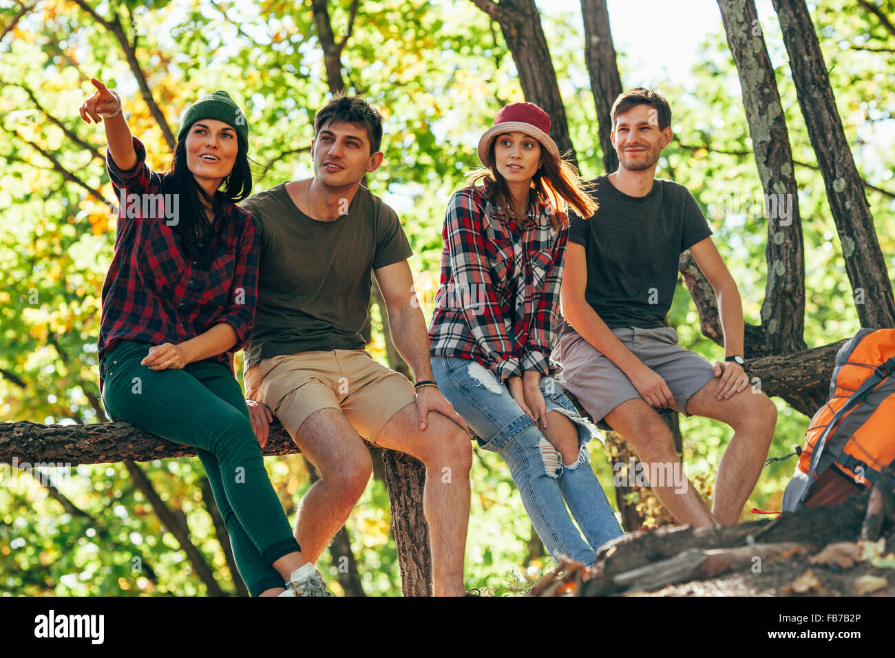 Young woman pointing away while sitting with friends in forest Stock Photo