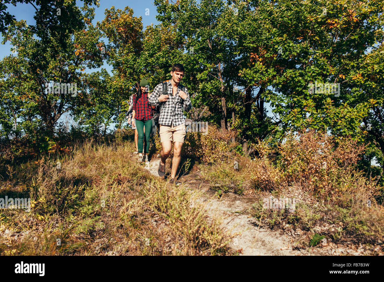 Male and female friends hiking in forest Stock Photo