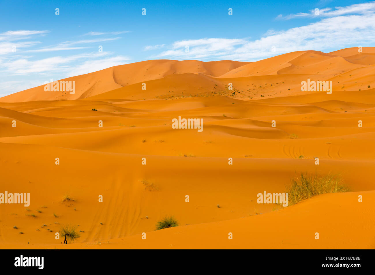 Sahara Desert, Morocco Stock Photo - Alamy