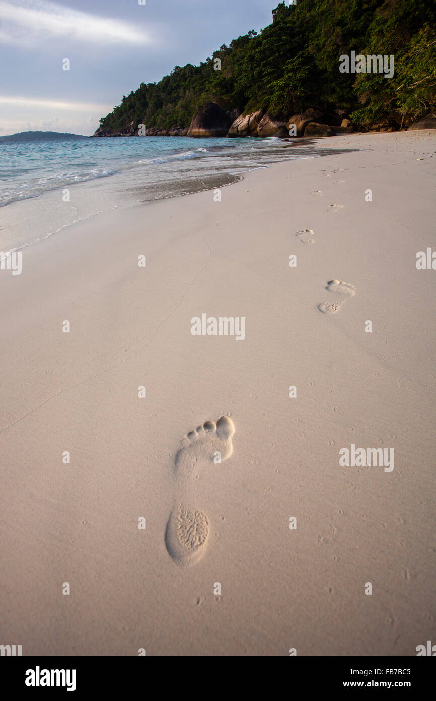 High angle view of footprints on sand at beach Stock Photo