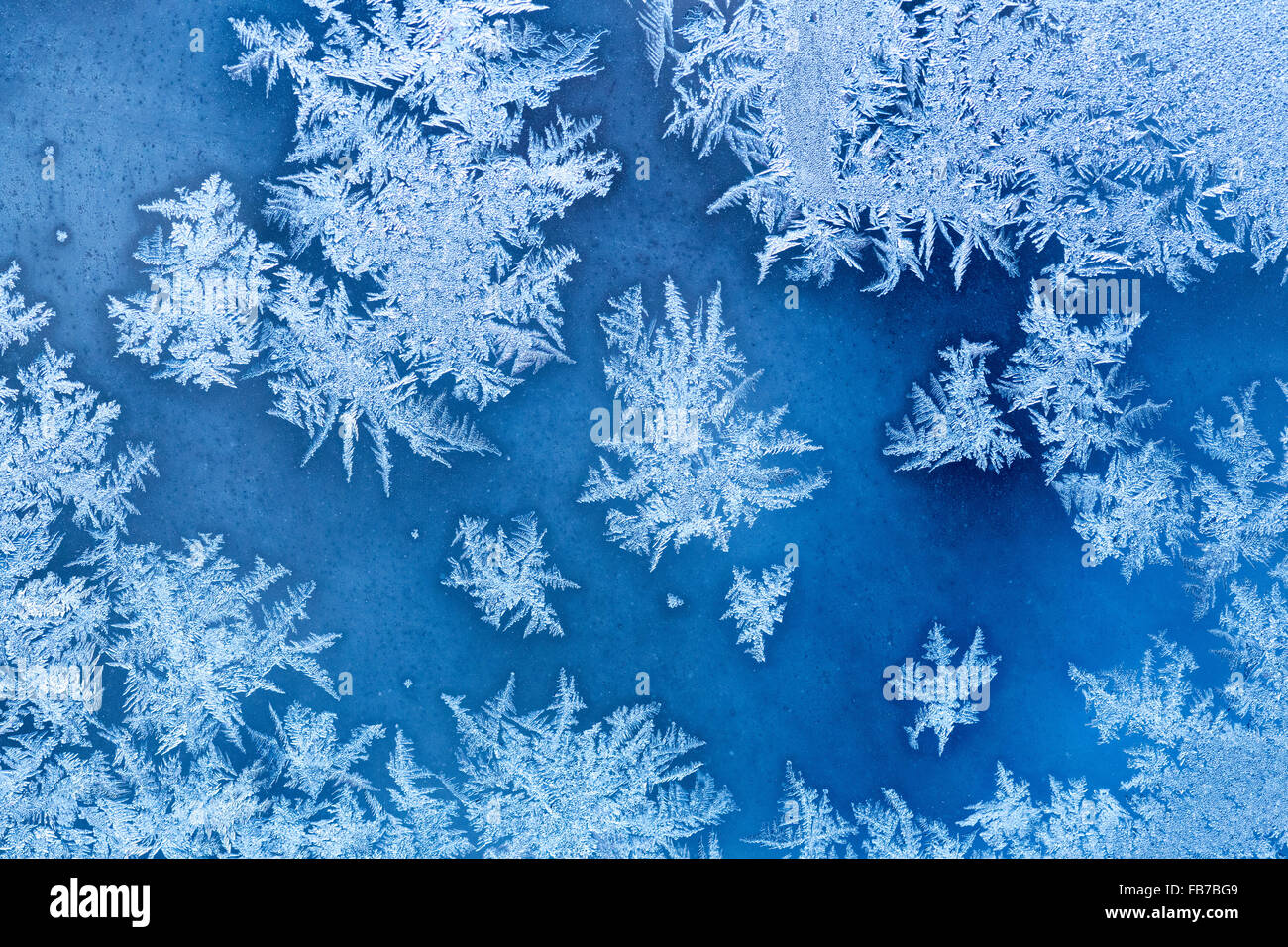Frosty winter pattern Stock Photo