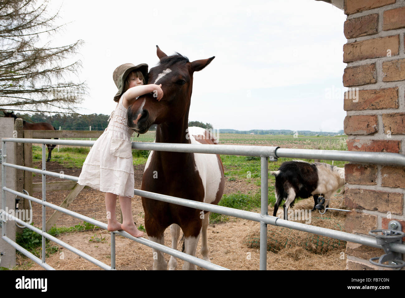 Girl embracing horse while standing on railing at farm Stock Photo Alamy