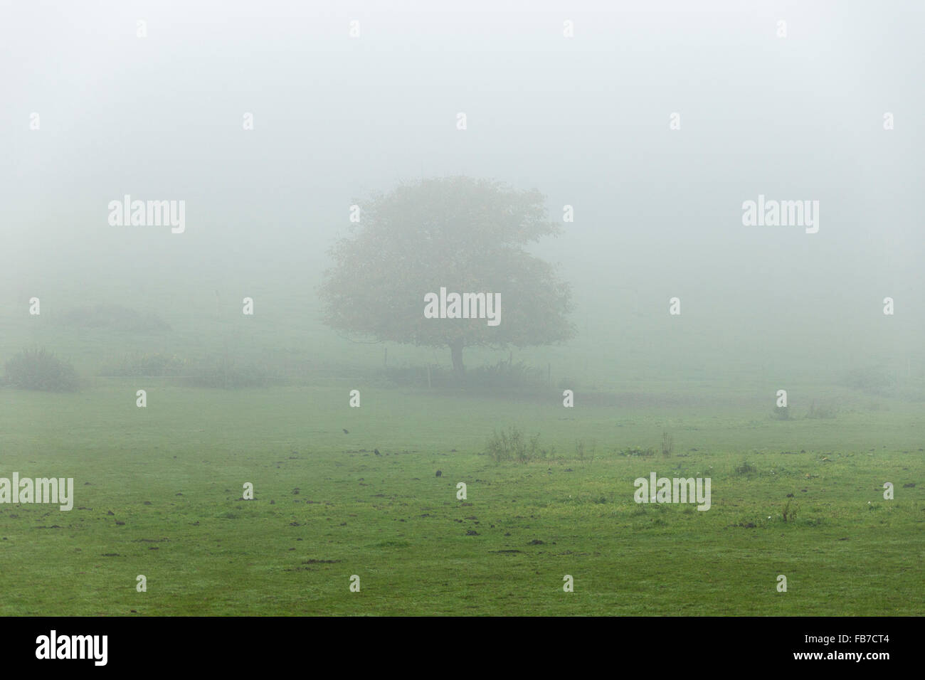 Day field hi-res stock photography and images - Alamy