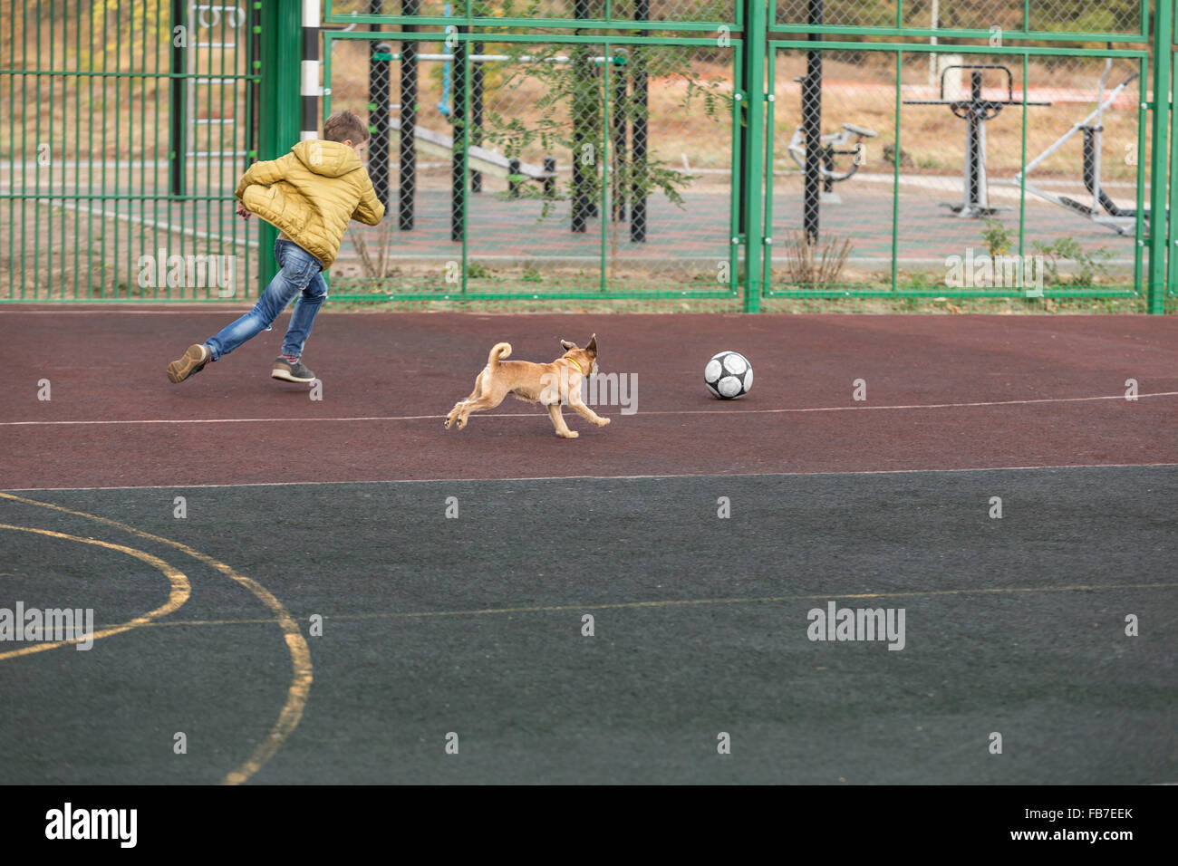 Boy and dog playing soccer at playground Stock Photo