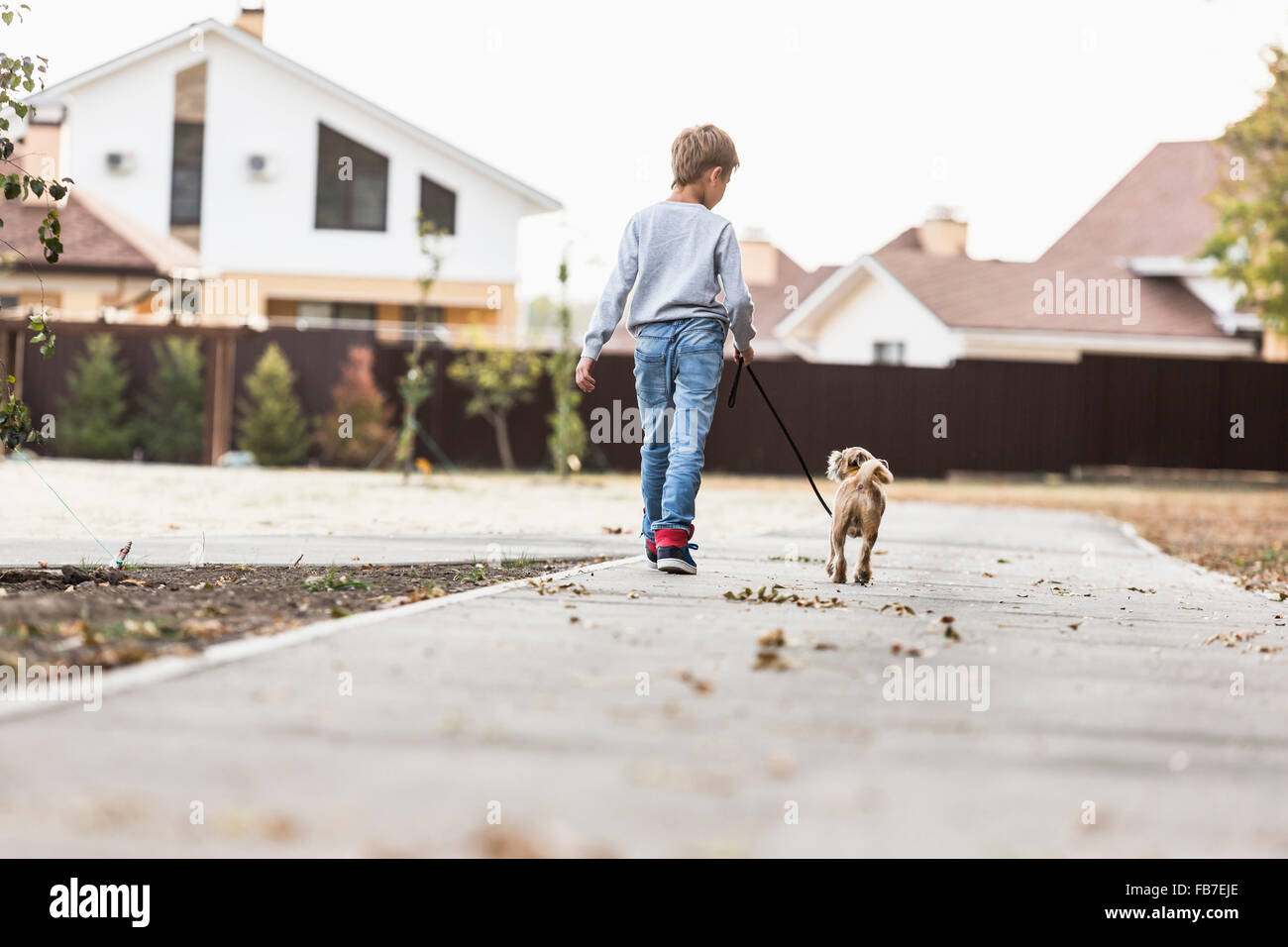 Rear view of boy walking with dog on footpath Stock Photo