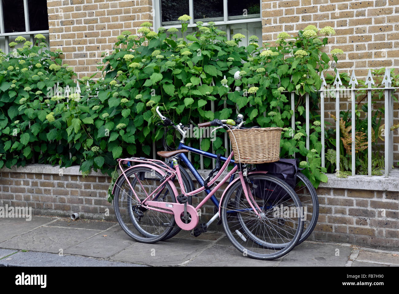 Bicycles in front of garden wall including ladies pink bike with large wicker basket, Edwardes Square Kinsington and Chelsea Lon Stock Photo