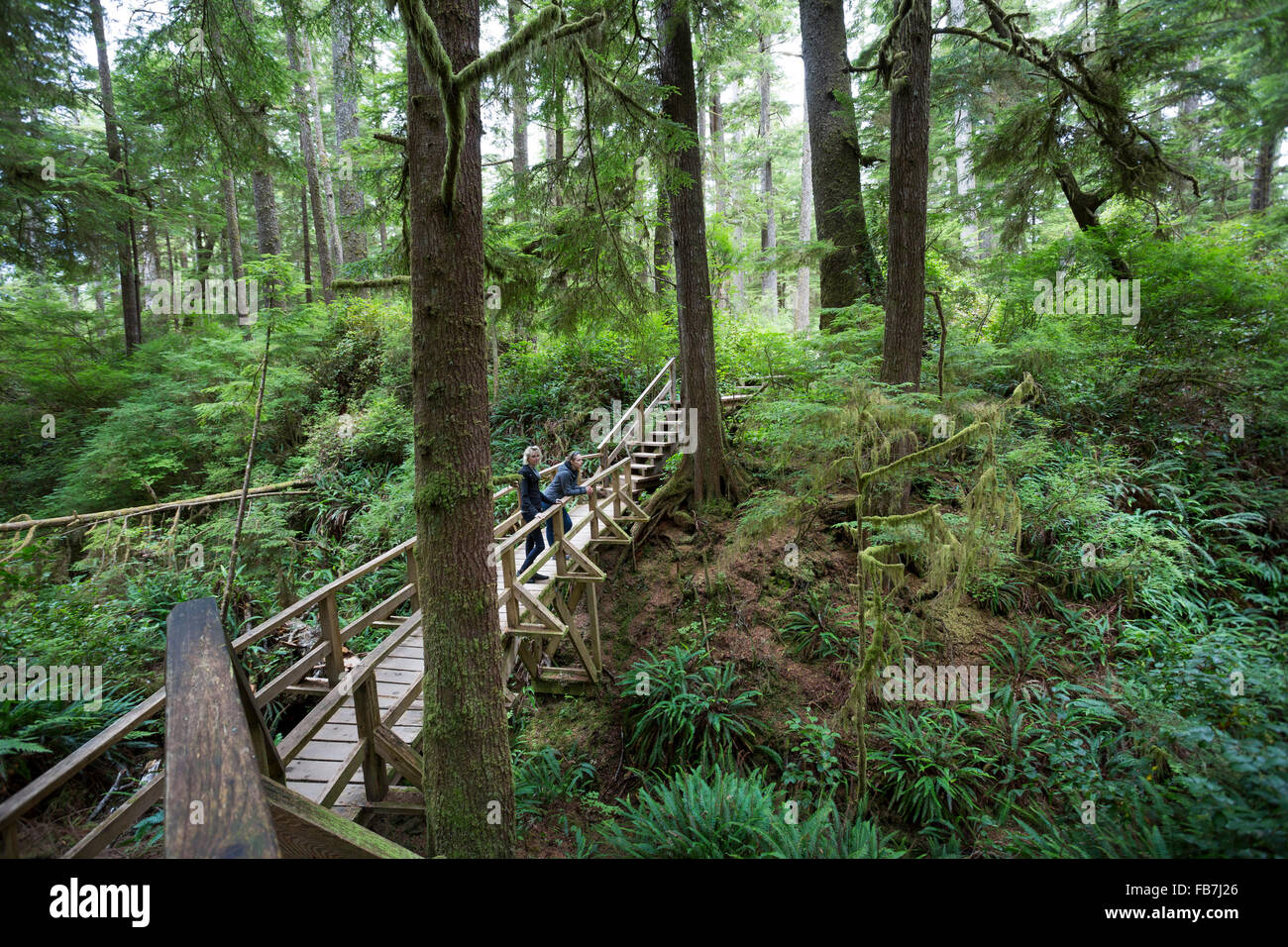 North America, Canada, British Columbia, Vancouver Island, Pacific Rim National Park Reserve,  two female tourists hiking Stock Photo