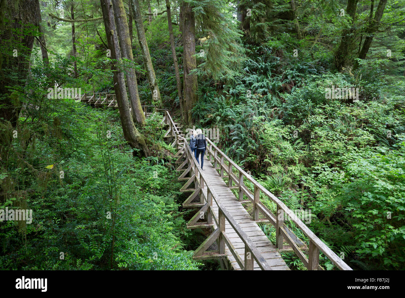 North America, Canada, British Columbia, Vancouver Island, Pacific Rim National Park Reserve female tourists hiking Stock Photo