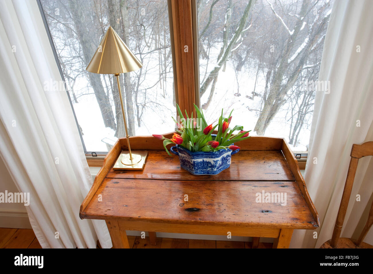 tulips growing indoors with winter outside Stock Photo