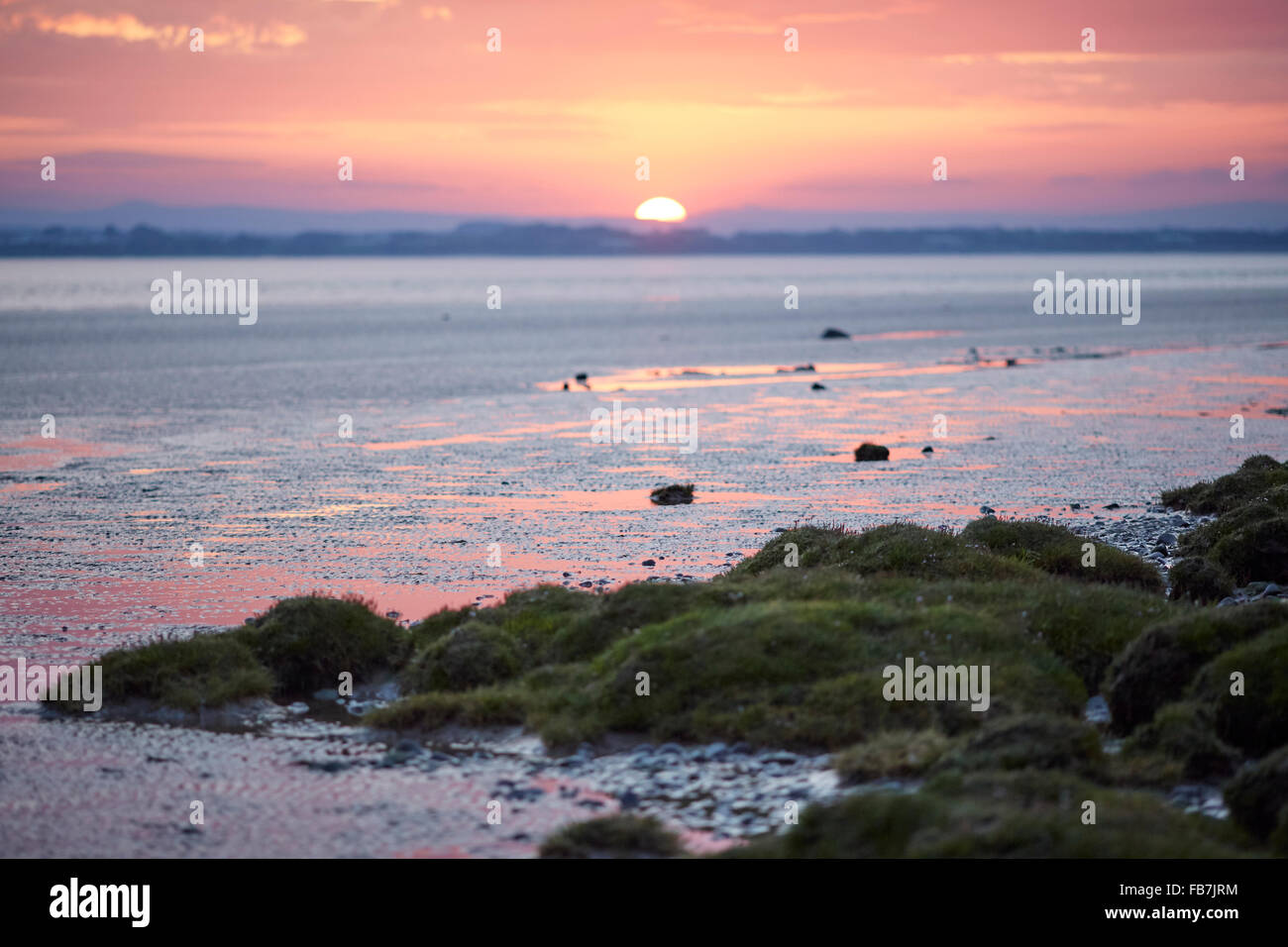 BBC Music day 'for the love of music'  Hadrian's Wall of Sound 2015 at Bowness on Solway marshes in Cumbria sun rise set orange Stock Photo