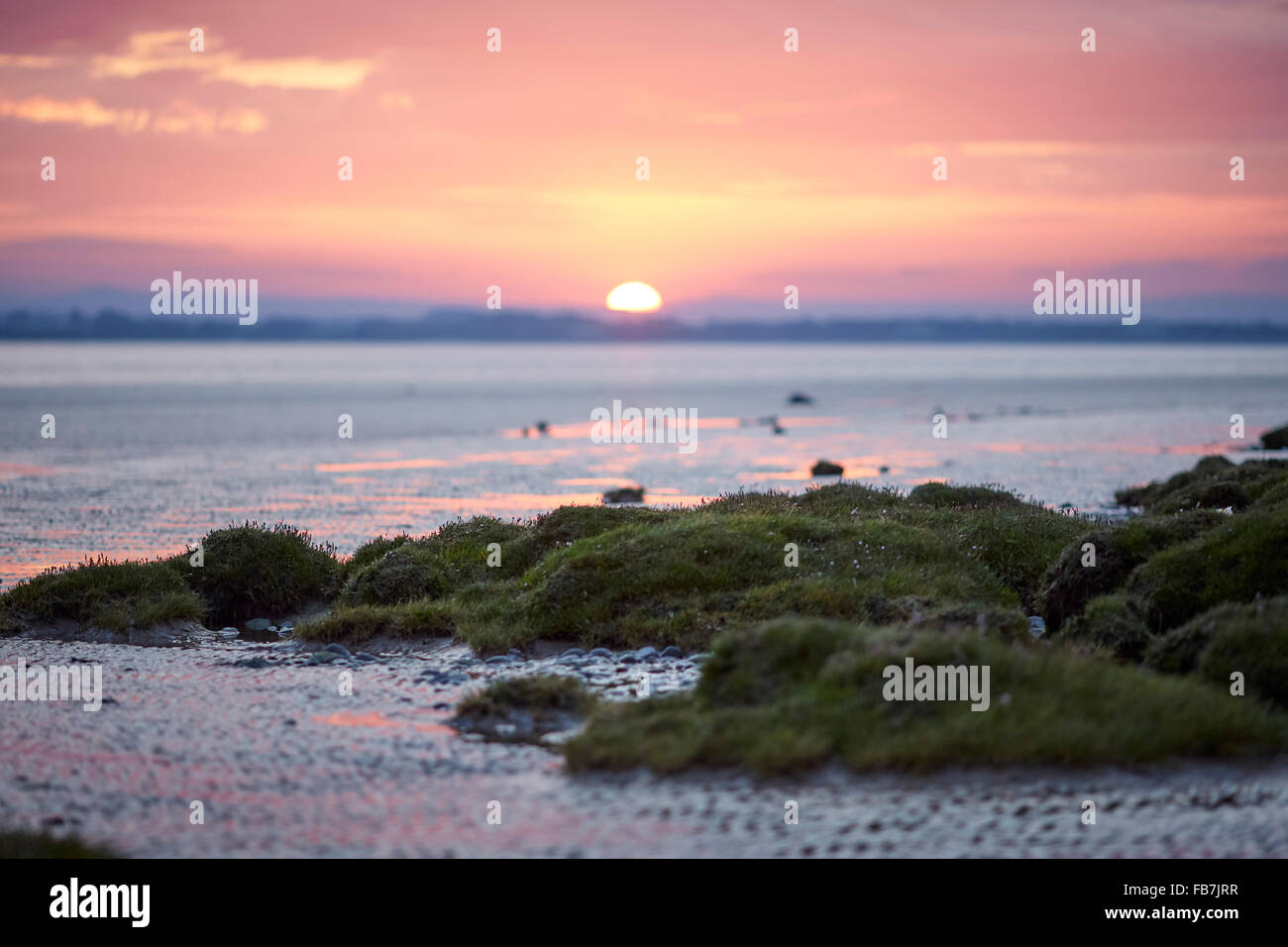 BBC Music day 'for the love of music'  Hadrian's Wall of Sound 2015 at Bowness on Solway marshes in Cumbria sun rise set orange Stock Photo