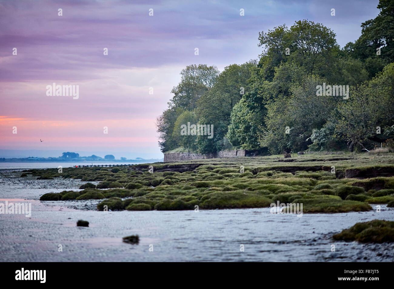 BBC Music day 'for the love of music'  Hadrian's Wall of Sound 2015 at Bowness on Solway marshes in Cumbria sun rise set orange Stock Photo