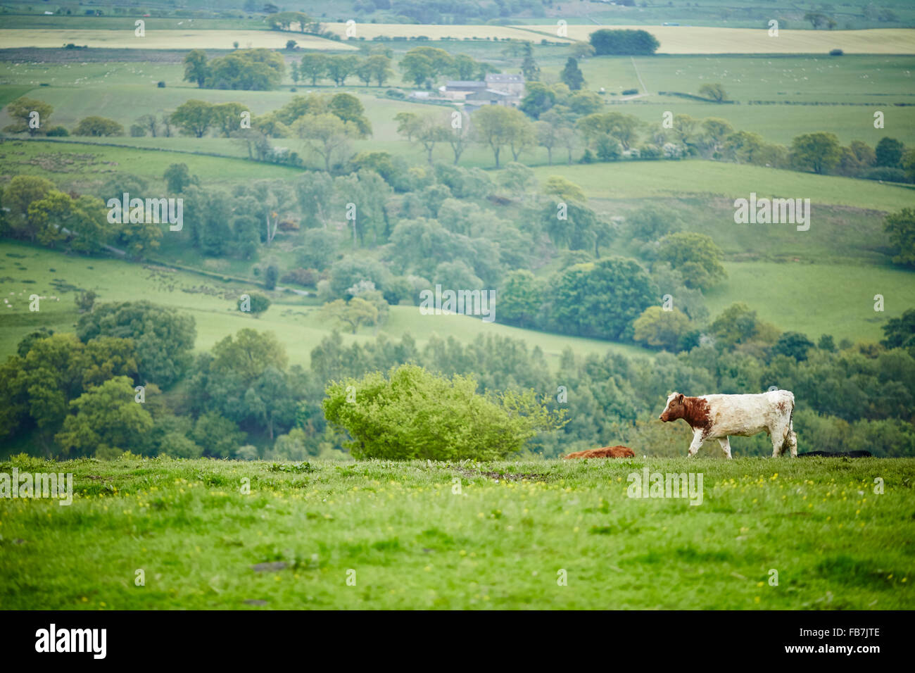 Bbc Music Day For The Love Of Music Hadrian S Wall Of Sound 2015