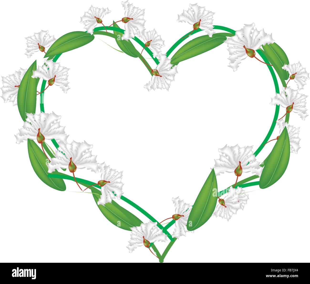 Love Concept, Illustration of White Crape Myrtle Flowers or