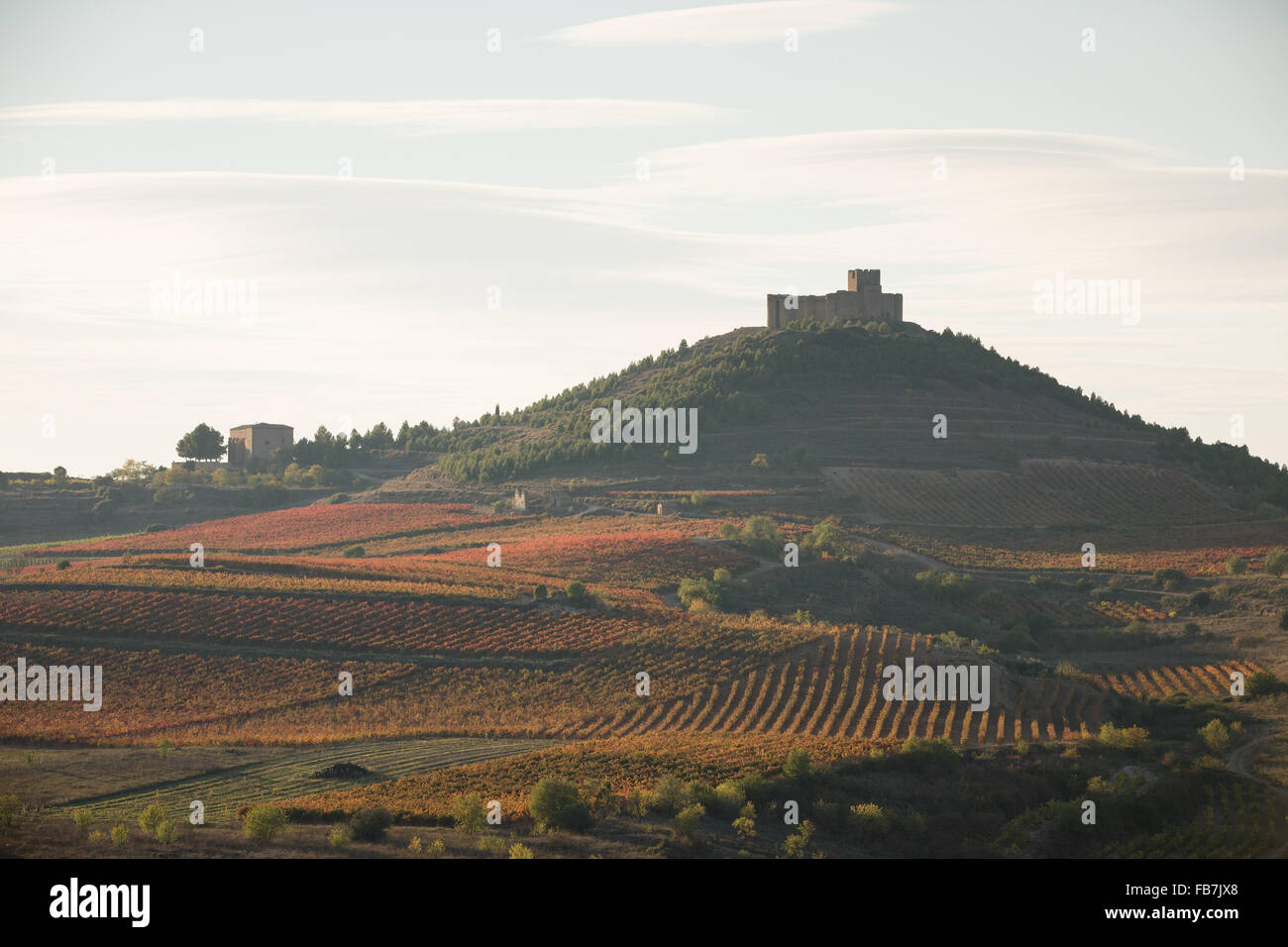 22/10/15 River Ebro and Davalillo castle among vineyards, near San Asensio, La Rioja, Spain Stock Photo