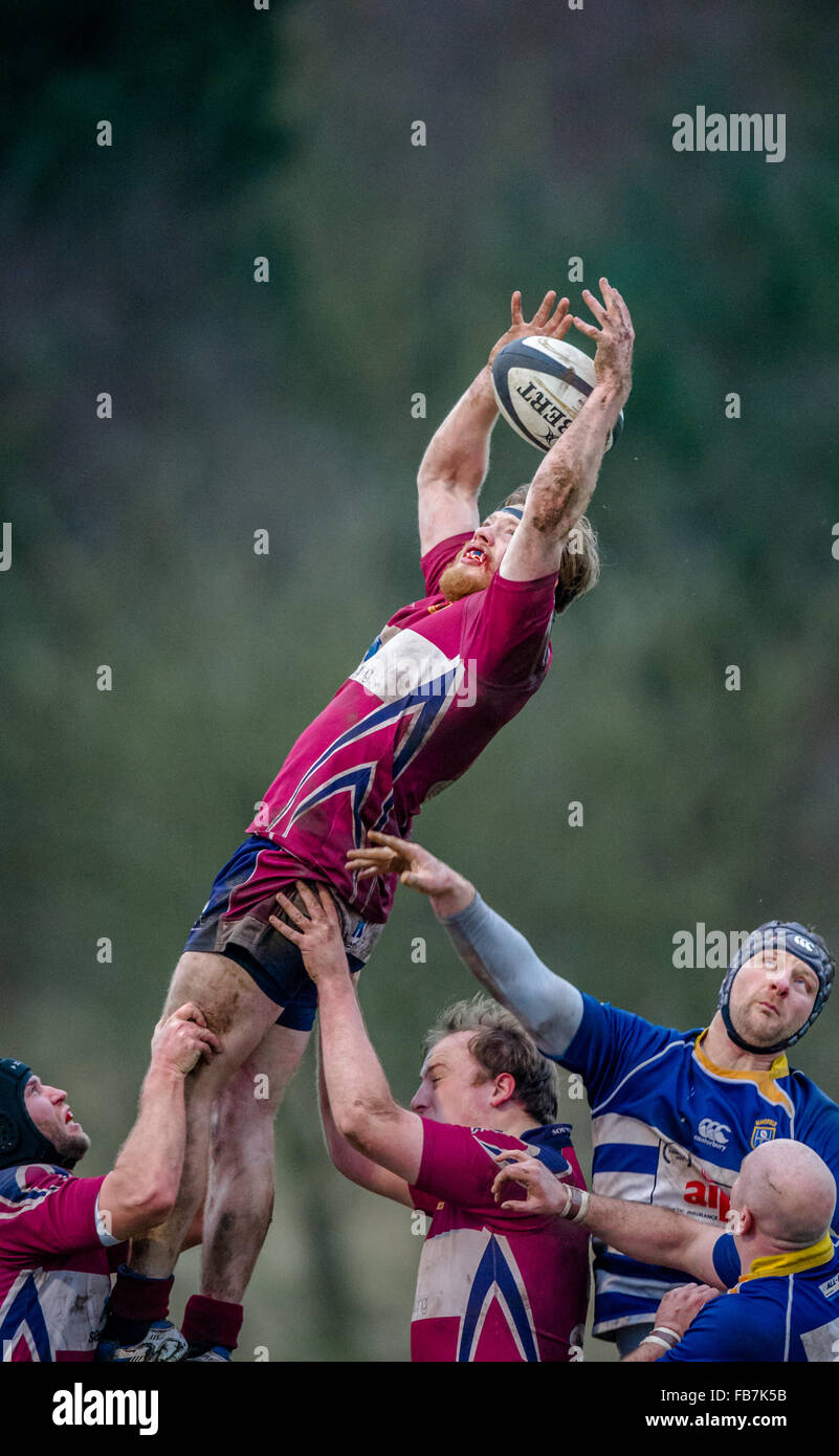 Male rugby union players taking a line-out. Stock Photo