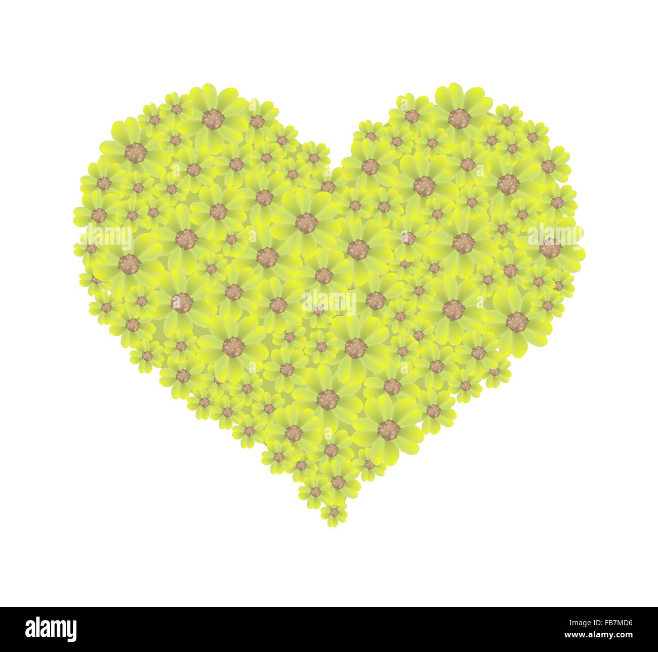 Love Concept, Illustration of Yellow Yarrow Flowers or Achillea ...