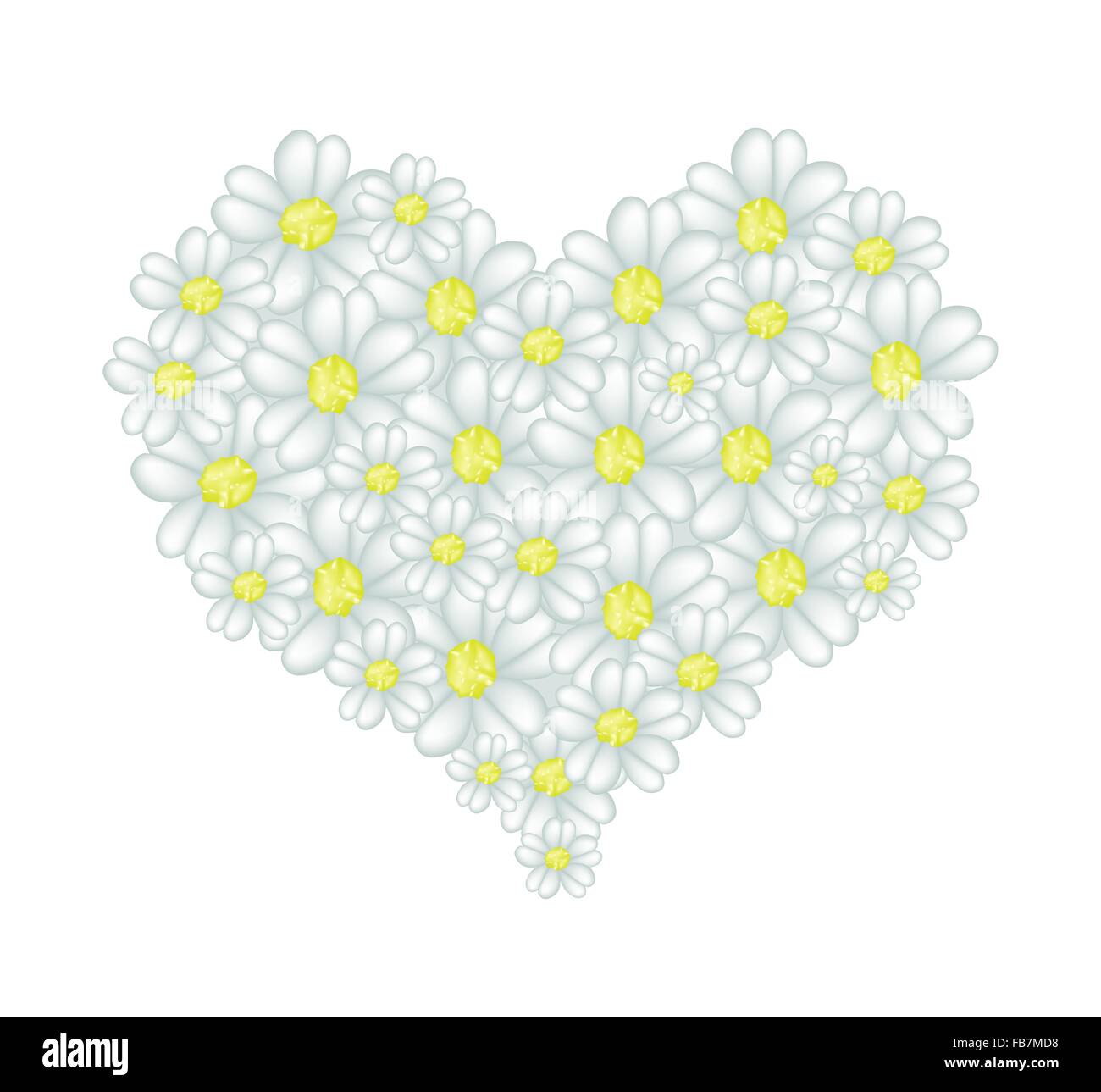 Love Concept, Illustration of White Yarrow Flowers or Achillea ...