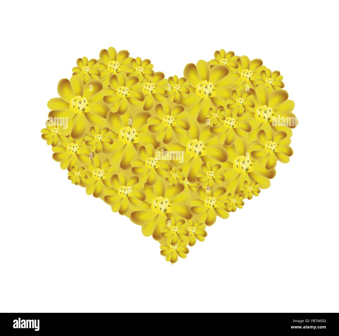 Love Concept, Illustration of Yellow Yarrow Flowers or Achillea ...