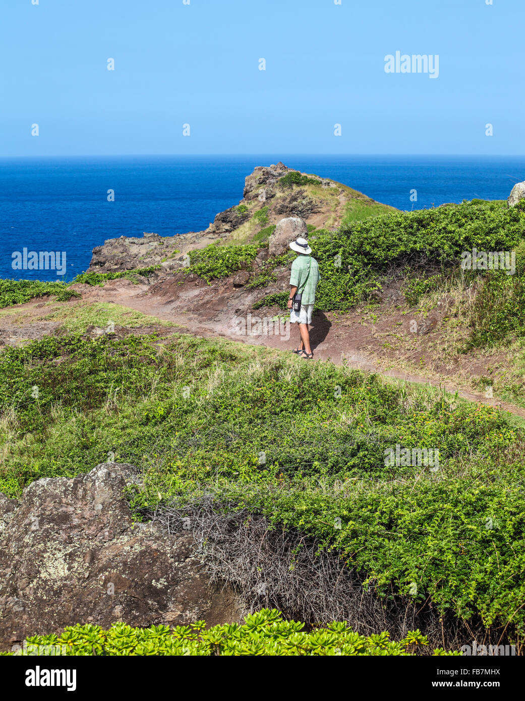 Hiker on the Ohai Trail on Maui gazes at ocean Stock Photo