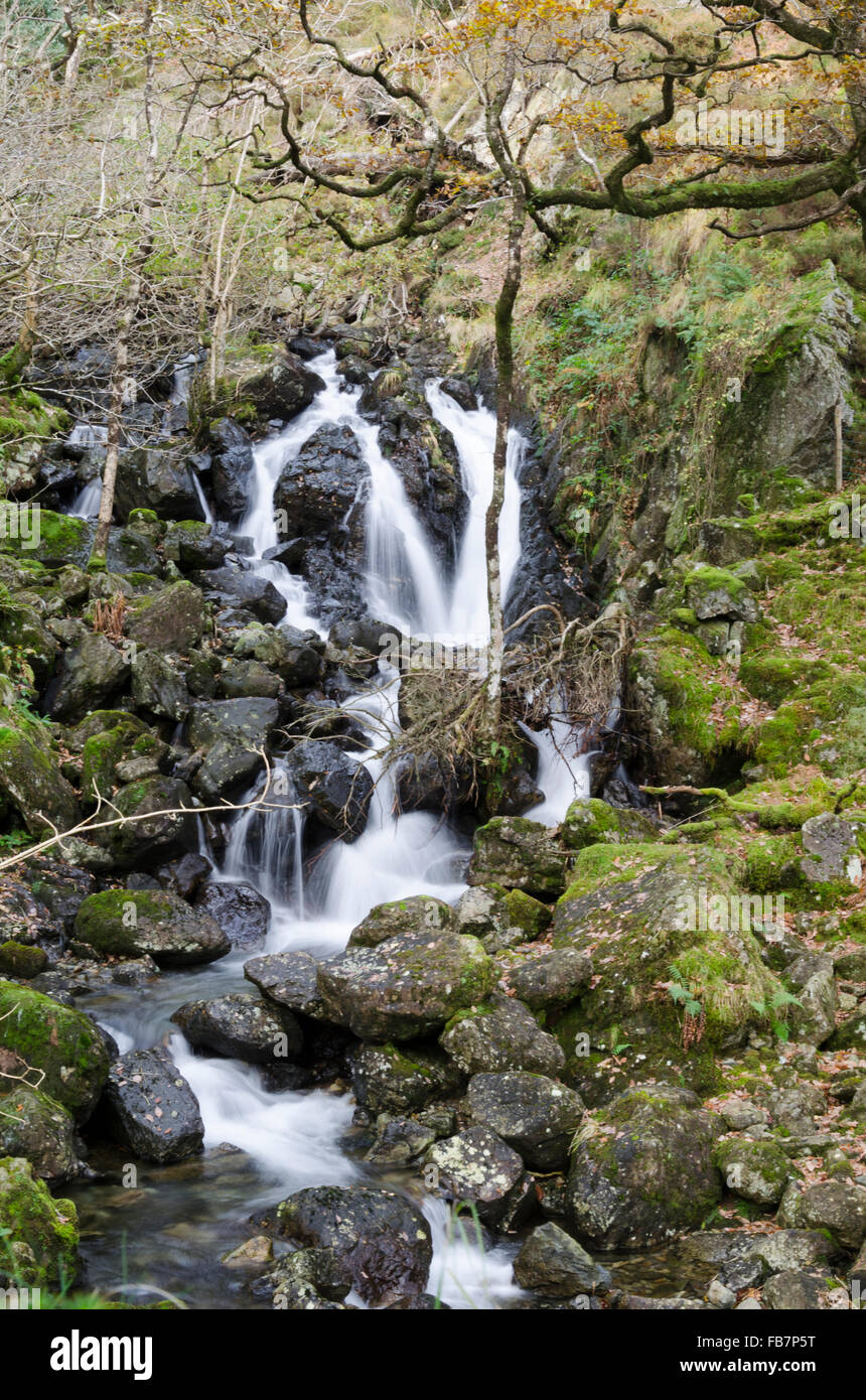 Snowdonia National Park. Autumnal cascade in Wales. Waterfall in a stream tumbling down from the mountains to the welsh valleys, lyn mwyngil. Stock Photo