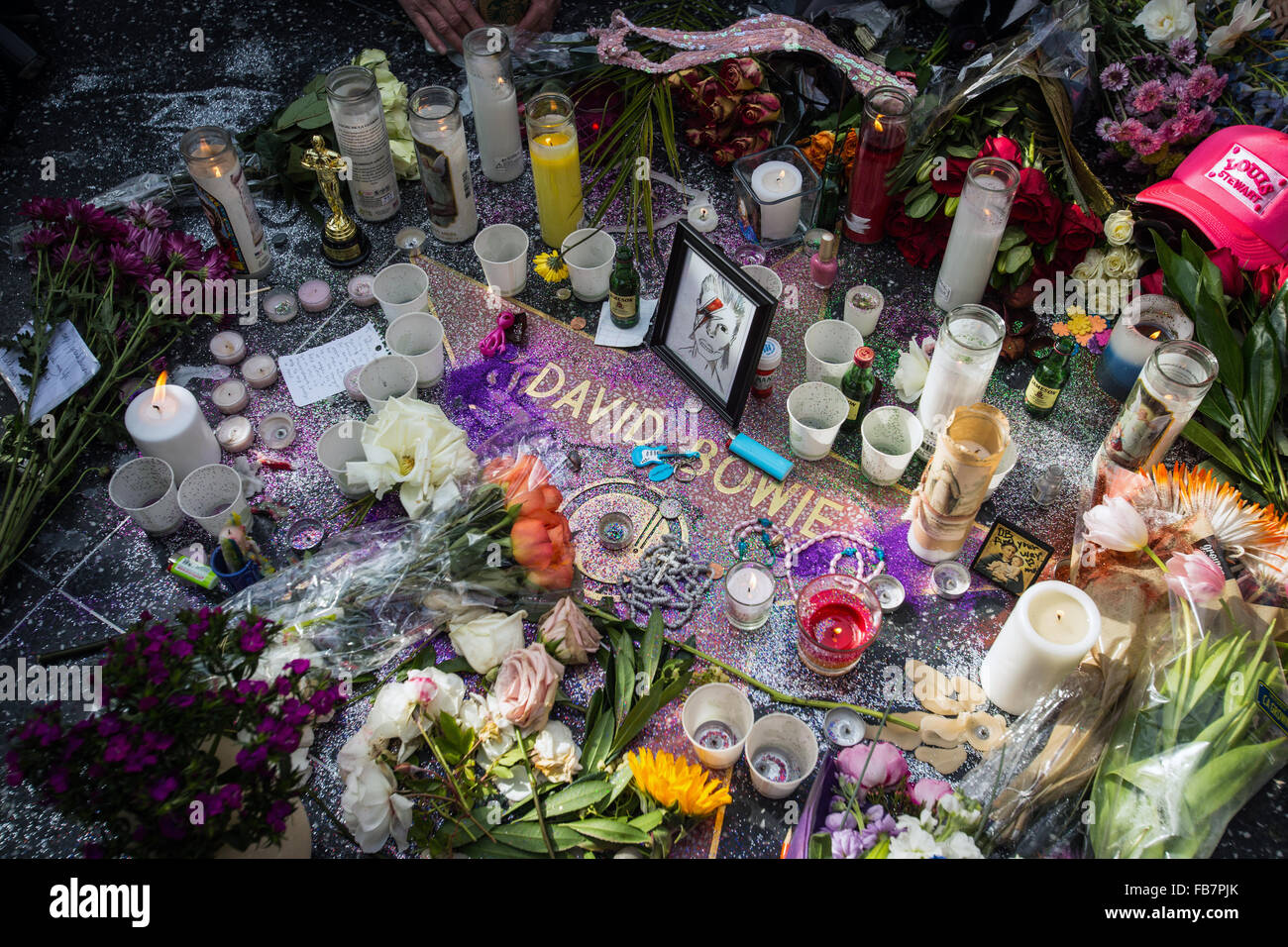 Fans pay tribute to David Bowie the day after his death at his star on the Hollywood Walk of Fame. Stock Photo