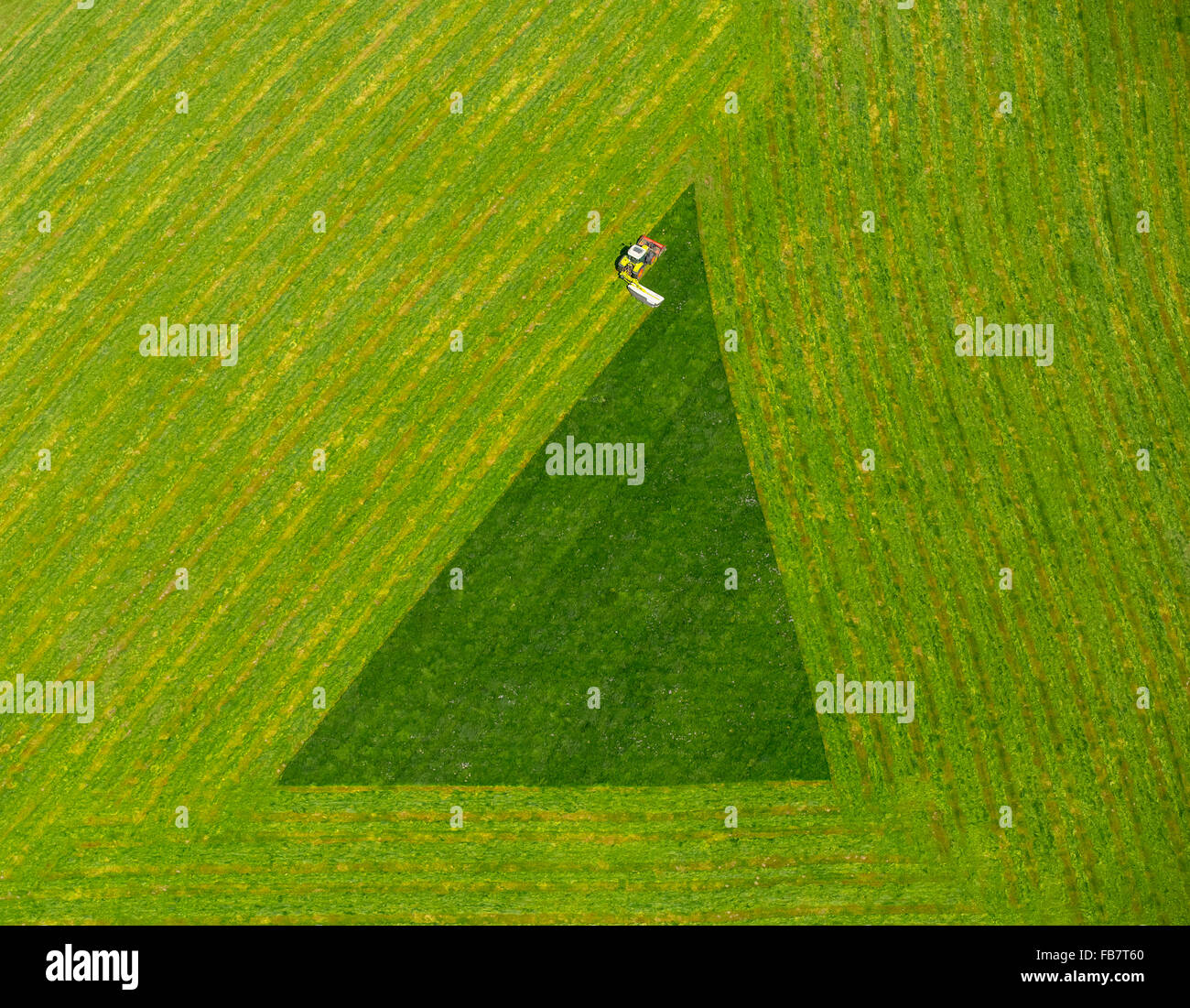 Aerial view, farmer mowing grass in the Ruhr break Arnsberg, hay, agriculture, grass triangle, triangle, geometrical figure, Stock Photo