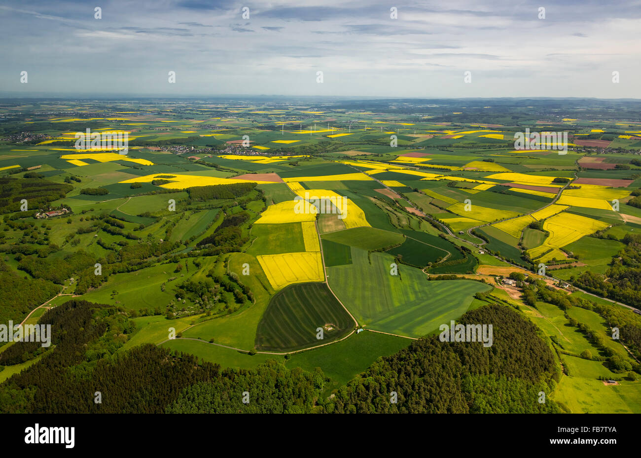 Aerial view, agricultural cropland and canola fields in Heimbach, meadows, pastures, sky with Stratus Cirrus, Heimbach, Eifel, Stock Photo