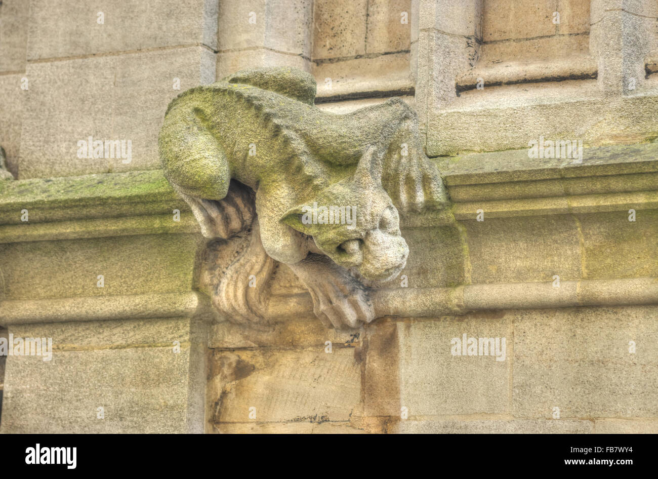 St Mary's Church Oxford Gargoyles   Stock Photo