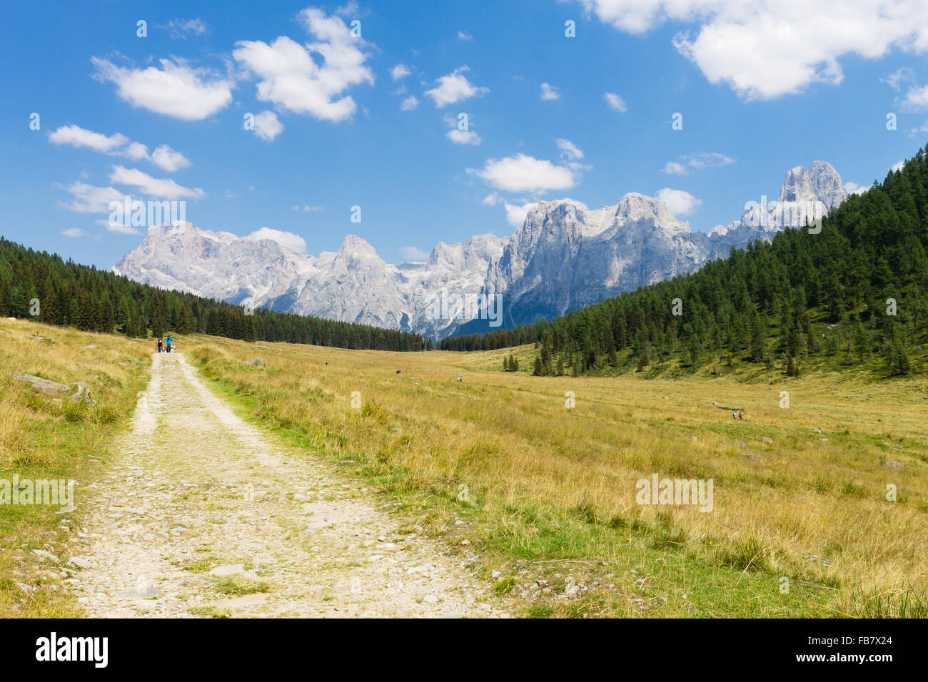 Beautiful alpine panorama, group Pala of dolomites from Calaita lake, Italian landscape Stock Photo