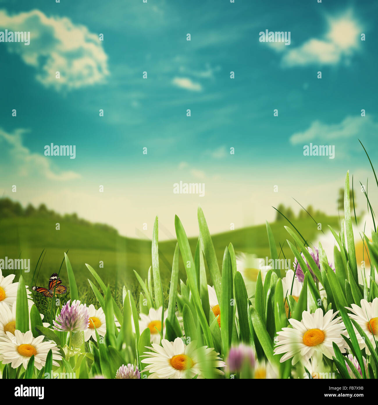 Beauty meadow with flowers and green grass under blue skies, seasonal ...